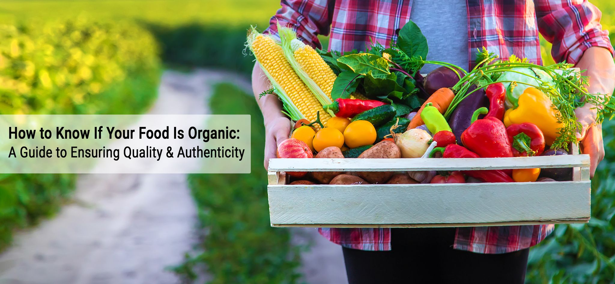 HOW TO KNOW IF YOUR FOOD IS ORGANIC: ENSURE AUTHENTICITY